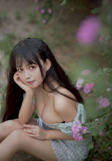 电视剧情满四合院免费完整版_BD国语免费观看电视剧