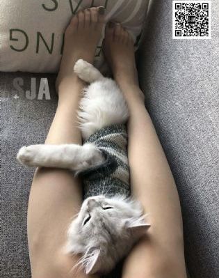 鬼谷子全集免费完整版_超清高清完整版播放