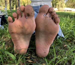 六妹妹电视剧免费观看全集高清_1080PHD在线观看