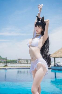 康熙王朝一共多少集_HD高清视频观看